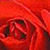 sample image snippet